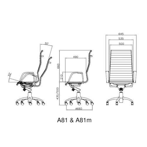 avand-office-furniture-manager-chair-A81-1