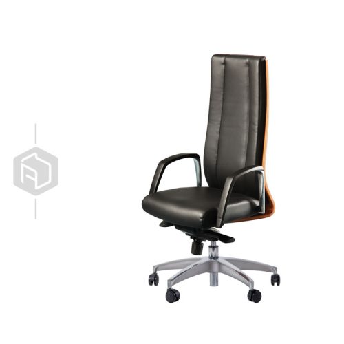 avand-office-furniture-manager-chair-s91