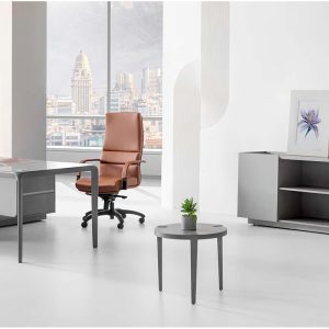 مدیریتی مرانتی CM200