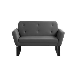 مبلمان دو نفره راشن مدل F400BN2