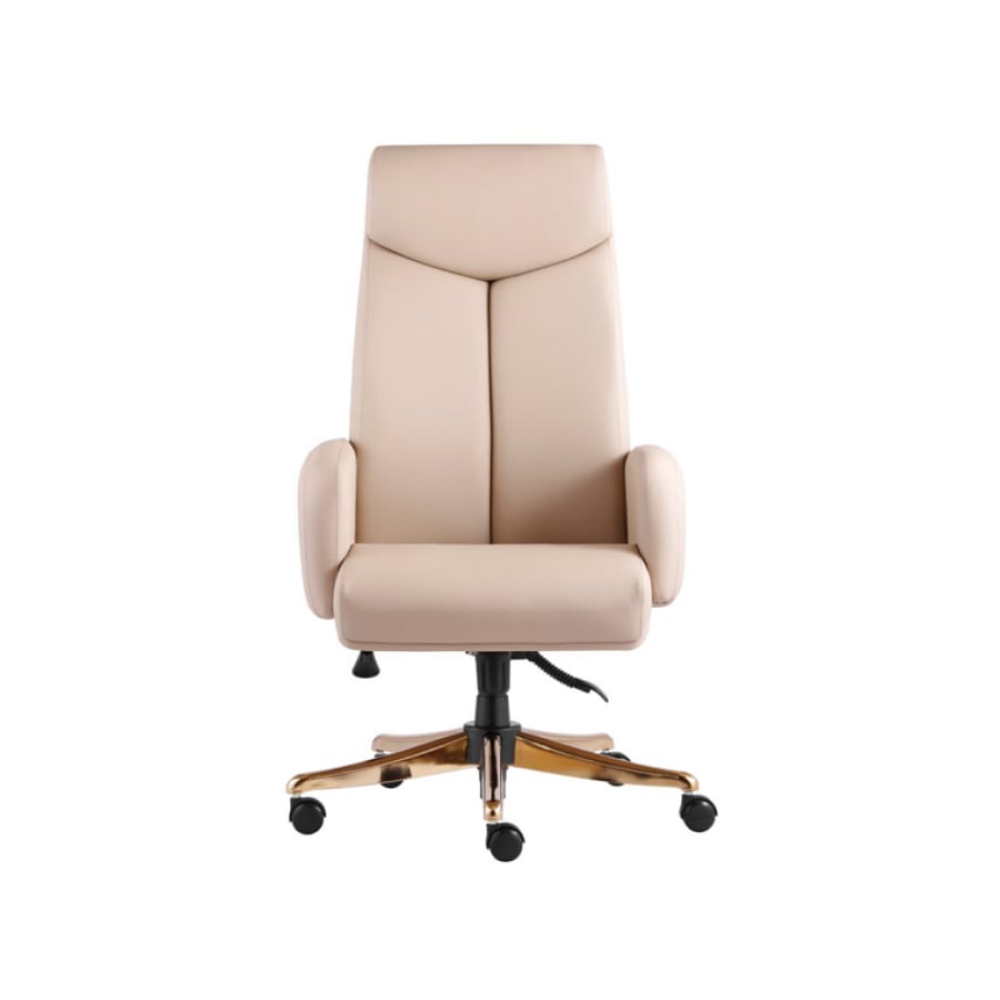 m910p-front-min صندلی مدیریتی راشن مدل M910P