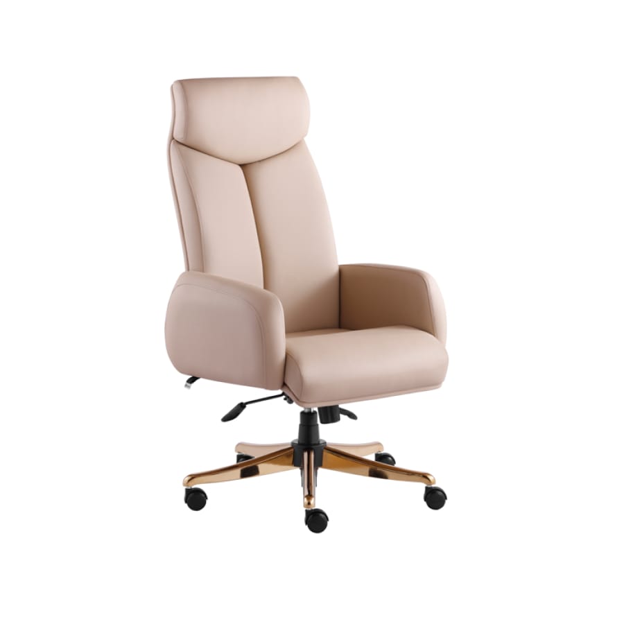 m910p-min صندلی مدیریتی راشن مدل M910P